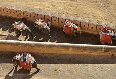 04 Fort_Amber_and Elephants,_Jaipur_DSC5119_b_H600